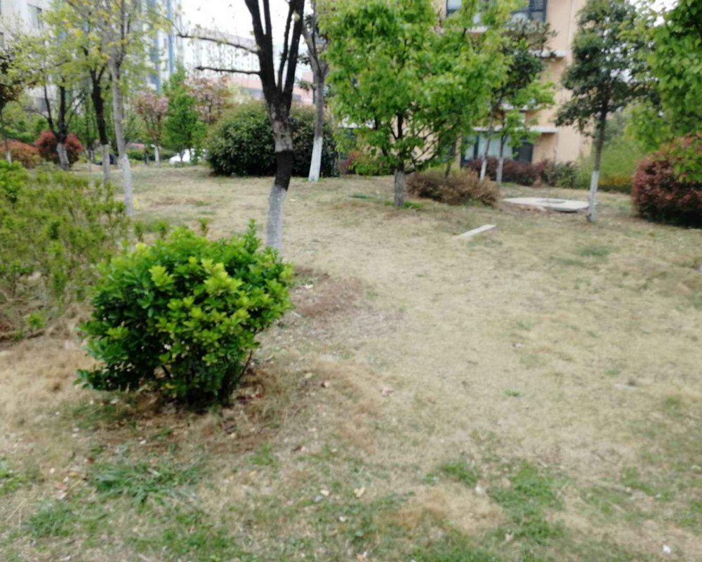 【朴园, 朴园小区详情,房价走势,房源,业主论坛】- 临沂58同城