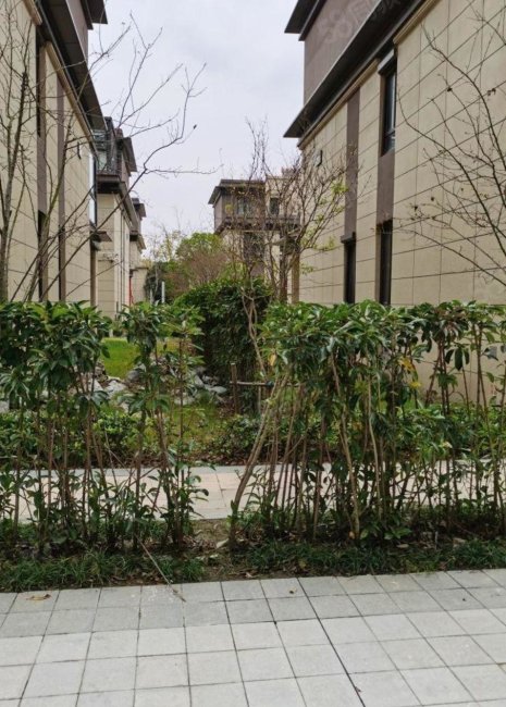 满二 100万 精装修 南北通透 急卖,富力半岛花园-南通58同城