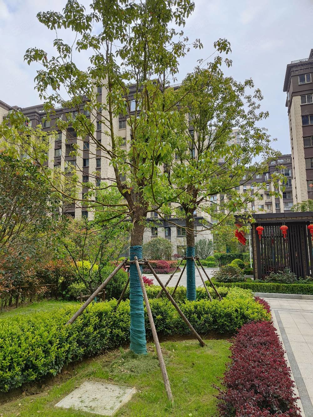 房主亏本甩卖万达广场六安环球港电梯洋房皋城小初双本部