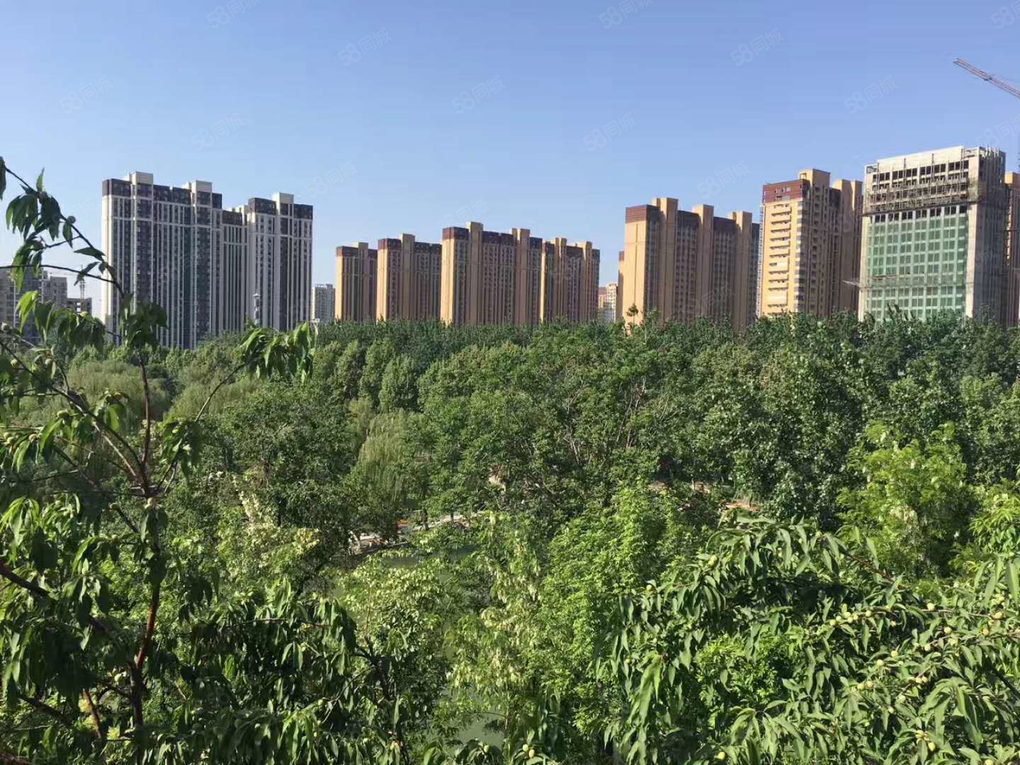 【10图】东胜紫御府4号地2室2厅1卫89,东胜紫御府-石家庄58同城