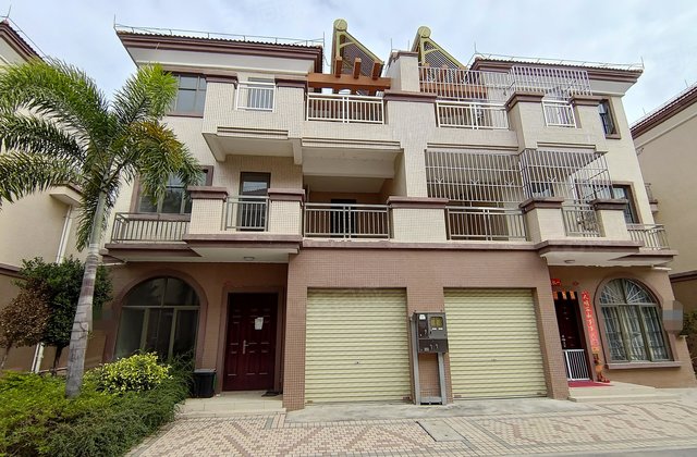 大岗自建房 5房4卫 南北对流 洋房价格买别墅