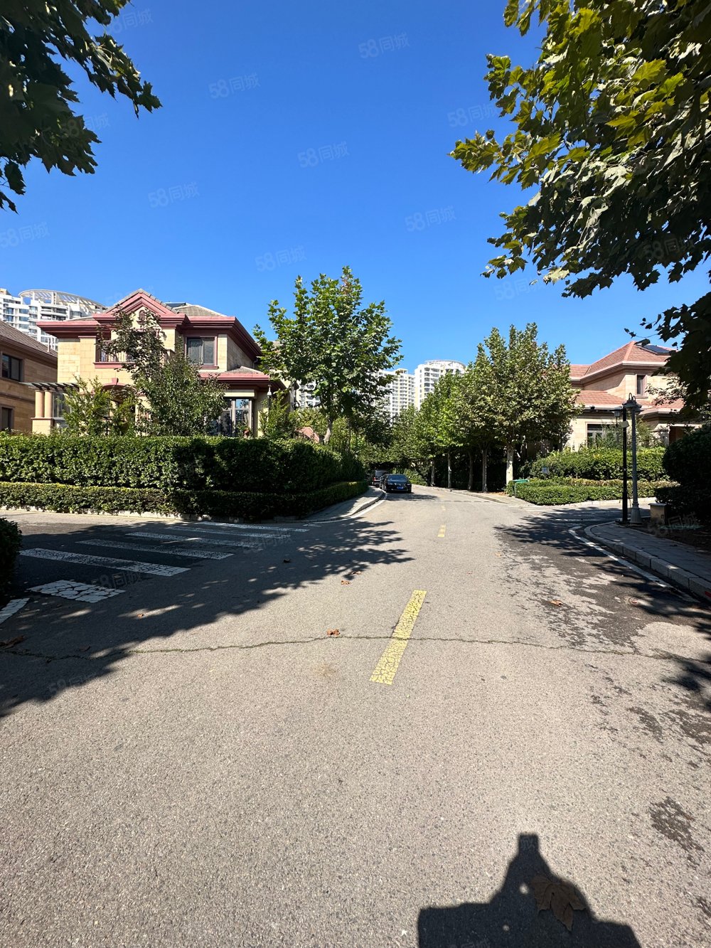 森林逸城别墅专卖年底急用钱抄底出售一跃二带双花园