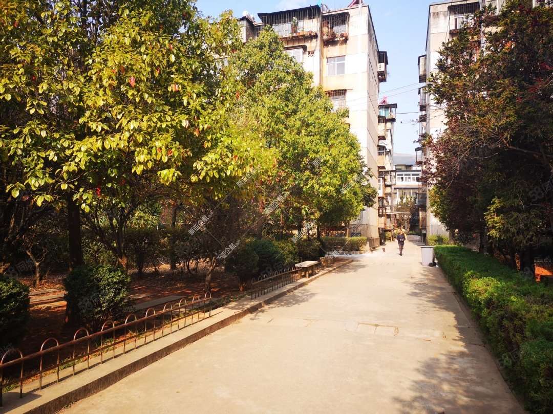 田坝小区3室2厅1卫58㎡东西63万