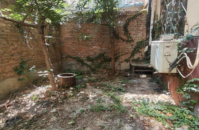 文轩老一中 八中对过一楼带院建行家属院 广电小区 羡林苑