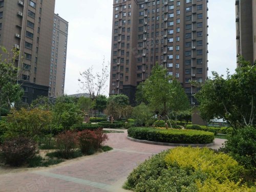 【金辰国际房价走势,金辰国际房屋出租,金辰国际二手房出售】- 禹城58