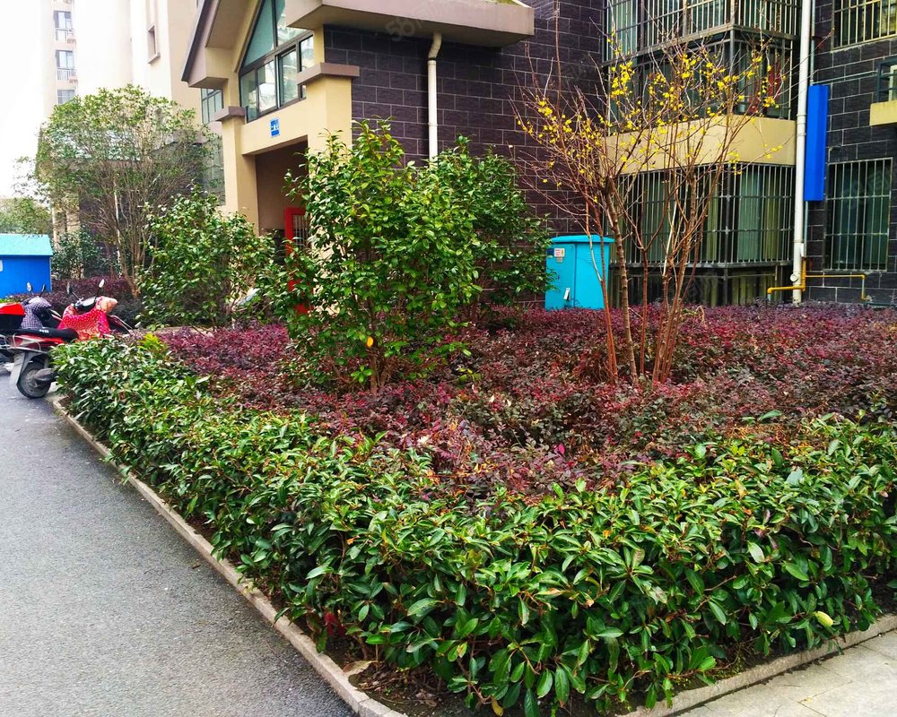 康居新城(东苑)