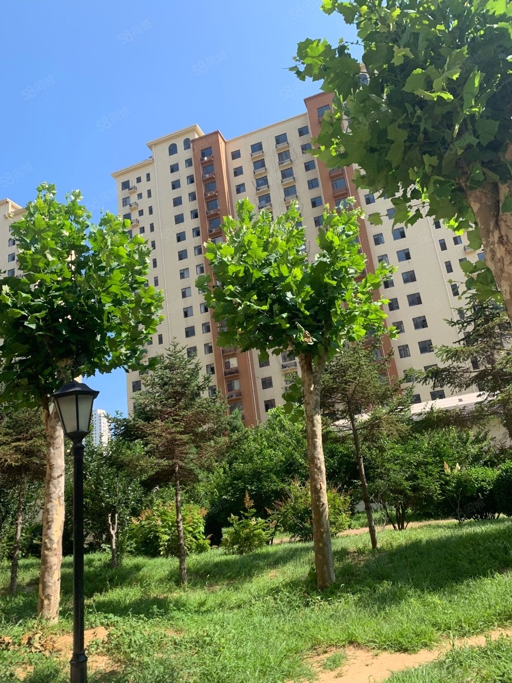 海韵馨园3室2厅2卫132㎡南北62万