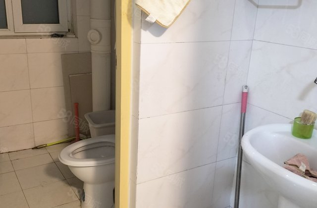 金柱绿城 家电齐全 随时看房    校