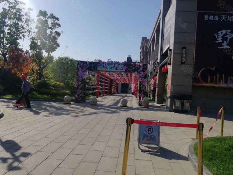 碧桂园天玺,  楼层,满二带车位