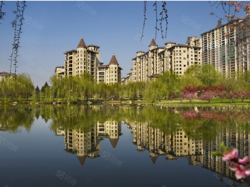 星河湾畅园高层四居室 观景棒 保养佳 税费低 看房方便