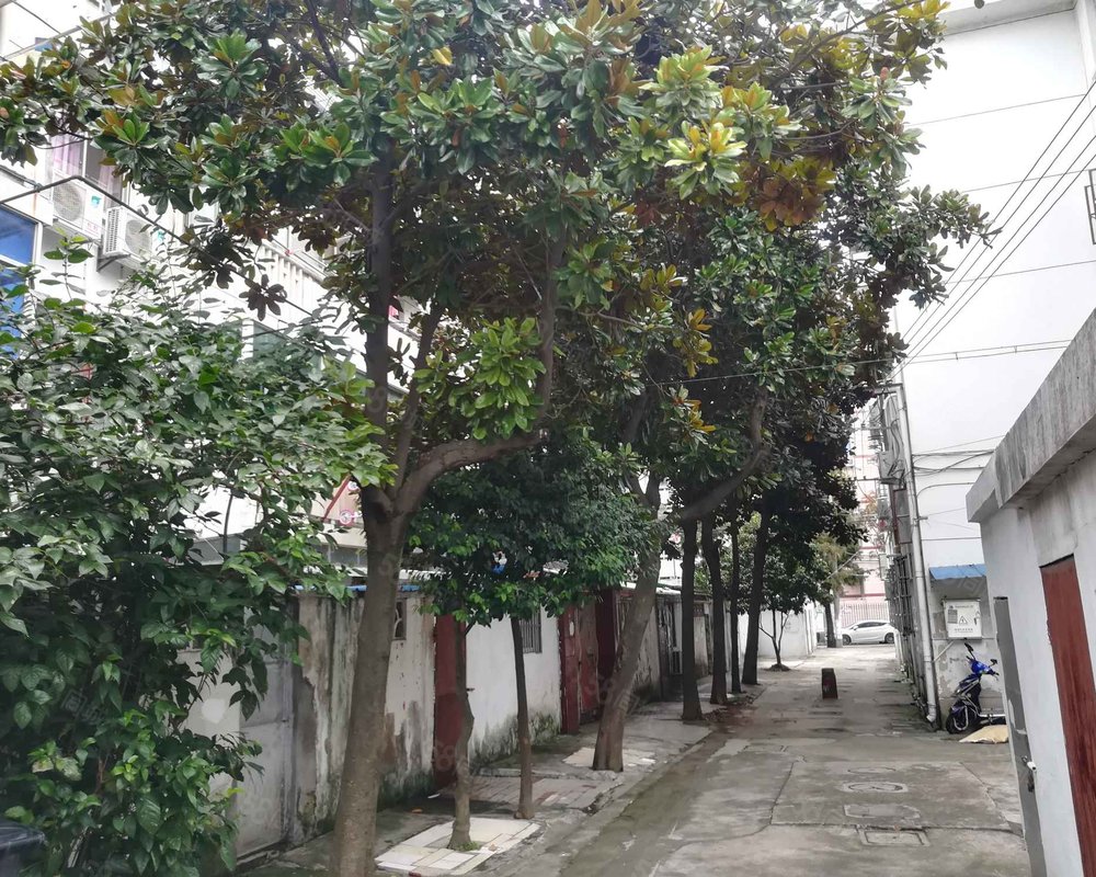【曙光新村(奉城), 曙光新村(奉城)小区详情,房价走势,房源,业主论坛