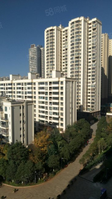 南锦林花园三室两厅明厨明卫51万急售