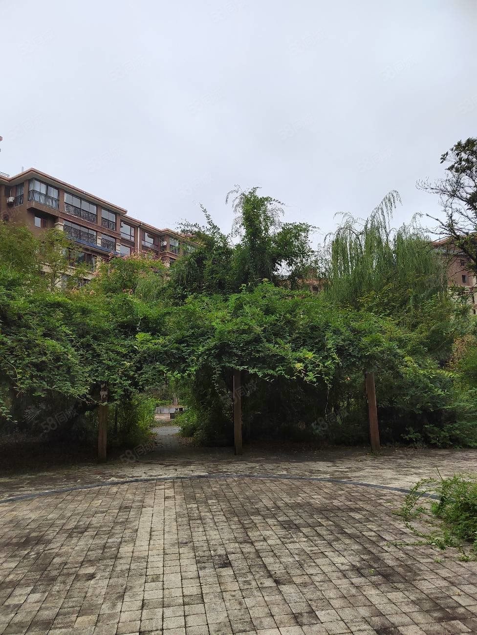 中坡瑞丰园房东巨亏100万急售可更名网签电梯洋房面积165