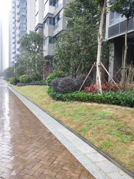 【荣和千千树房价走势,荣和千千树房屋出租,荣和千千树二手房出售】