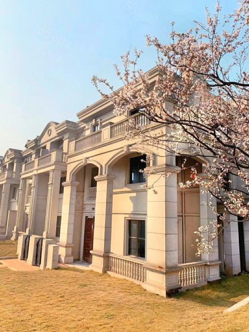 双岛湖品质顶跃急售阳台一打开就是看湖哈