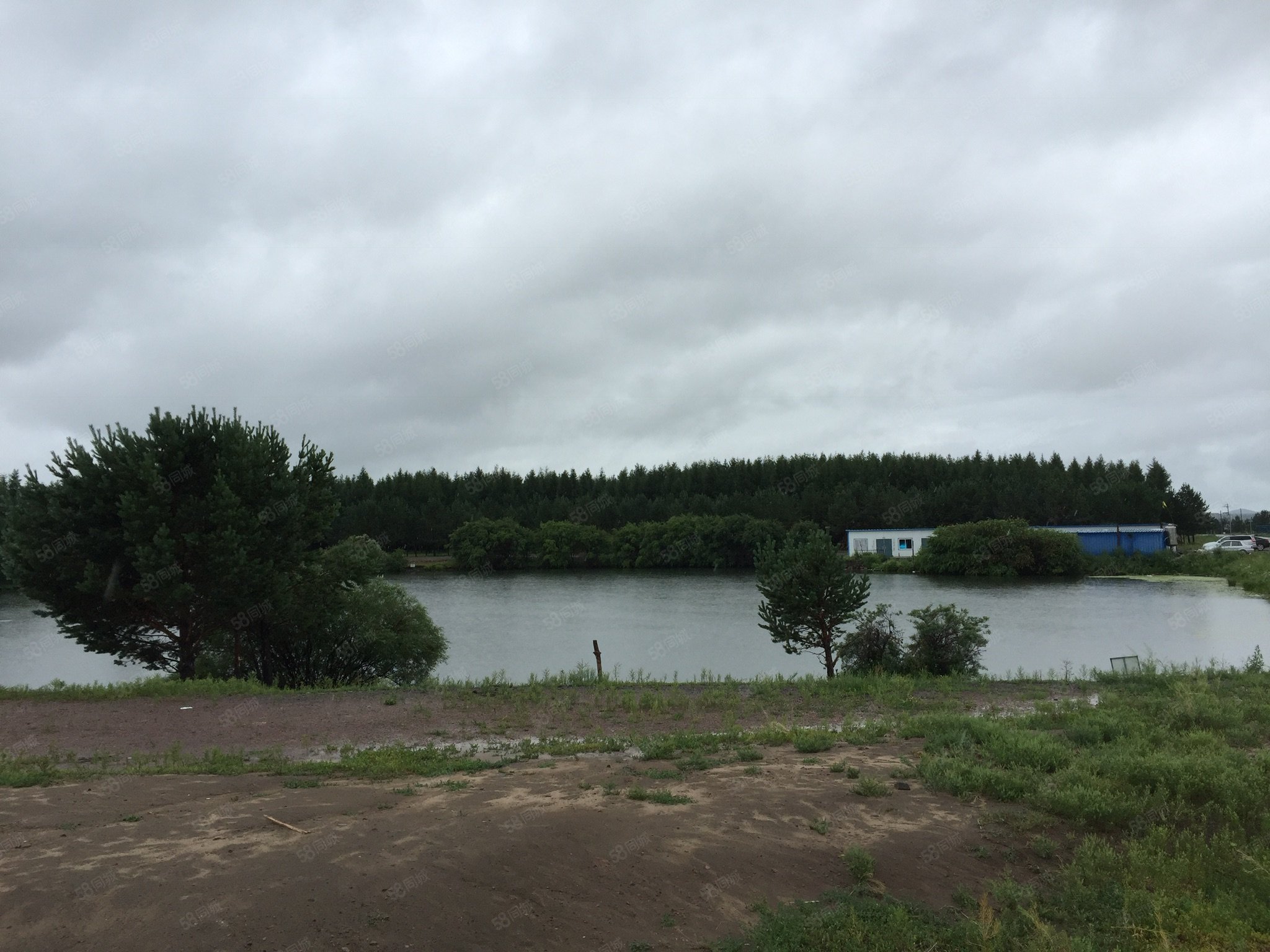 武夷山碧桂园6室1厅3卫360㎡北320万