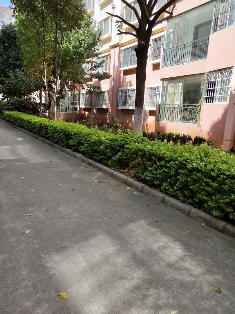 大商汇良辰水逸1期精装五房干净清爽随时看房房东急售送车位