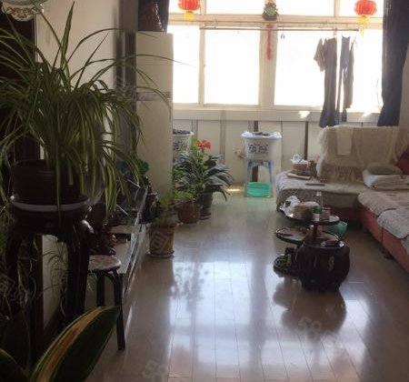 绥中县二手房