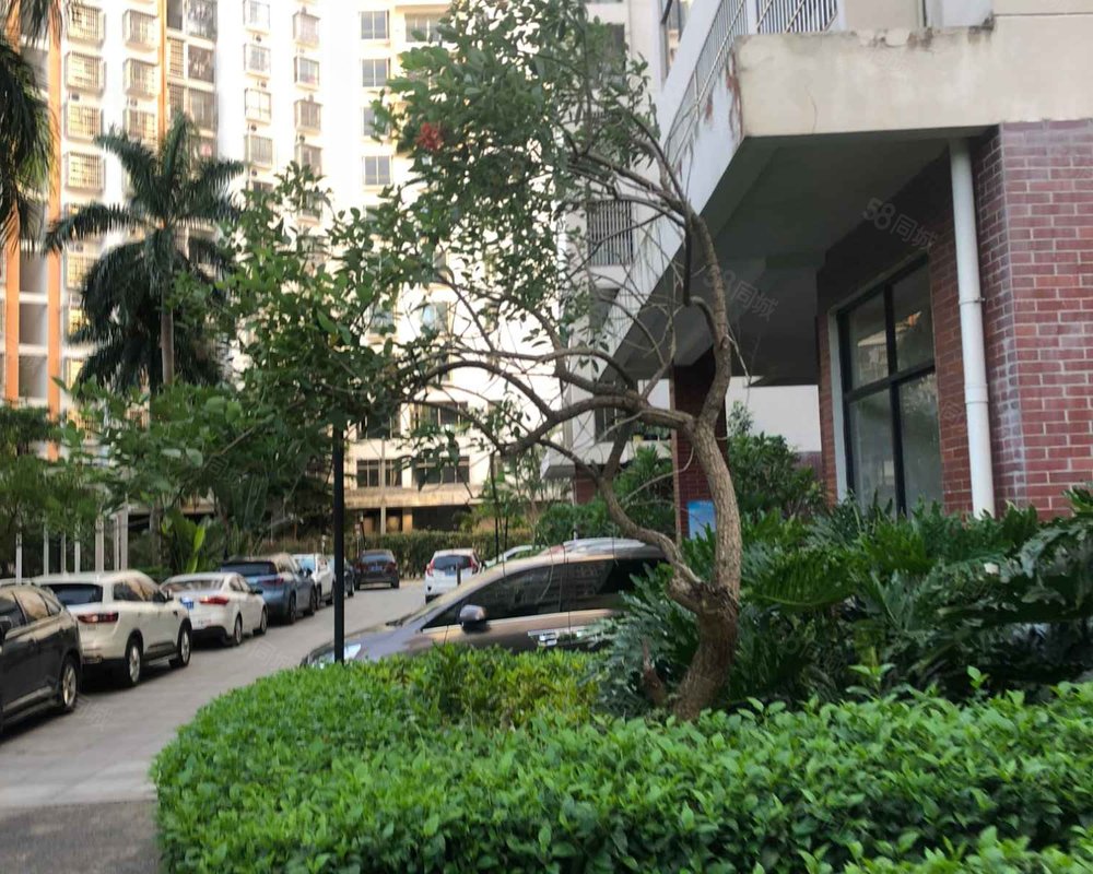 【水云轩, 水云轩小区详情,房价走势,房源,业主论坛】- 海口58同城