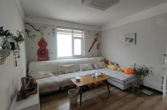 老文轩外国语北邻 多层边户精装全明 带储藏室免大税 性价比高