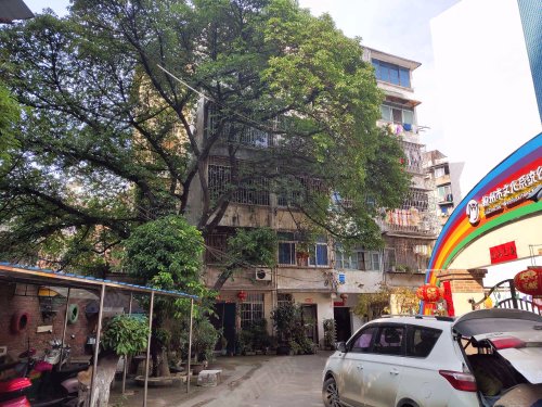 【文化大院房价走势,文化大院房屋出租,文化大院二手房出售】- 柳州58