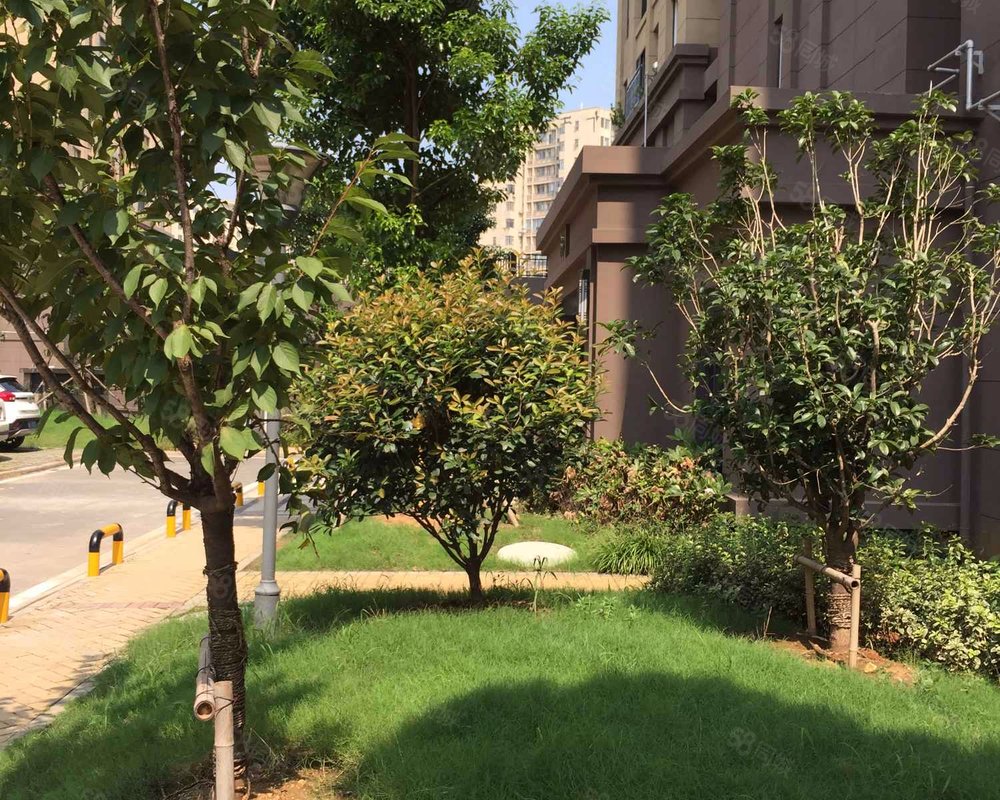 【f绿岛, f绿岛小区详情,房价走势,房源,业主论坛】- 武汉58同城