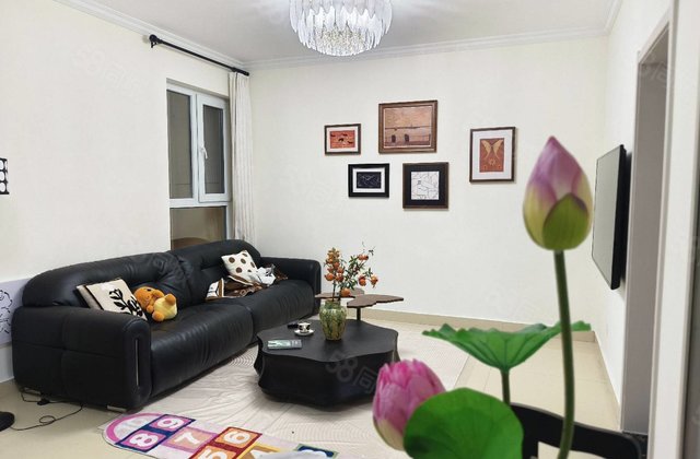 市中心位置 公园附近 豆营三室婚房 带家具拎包入住有储