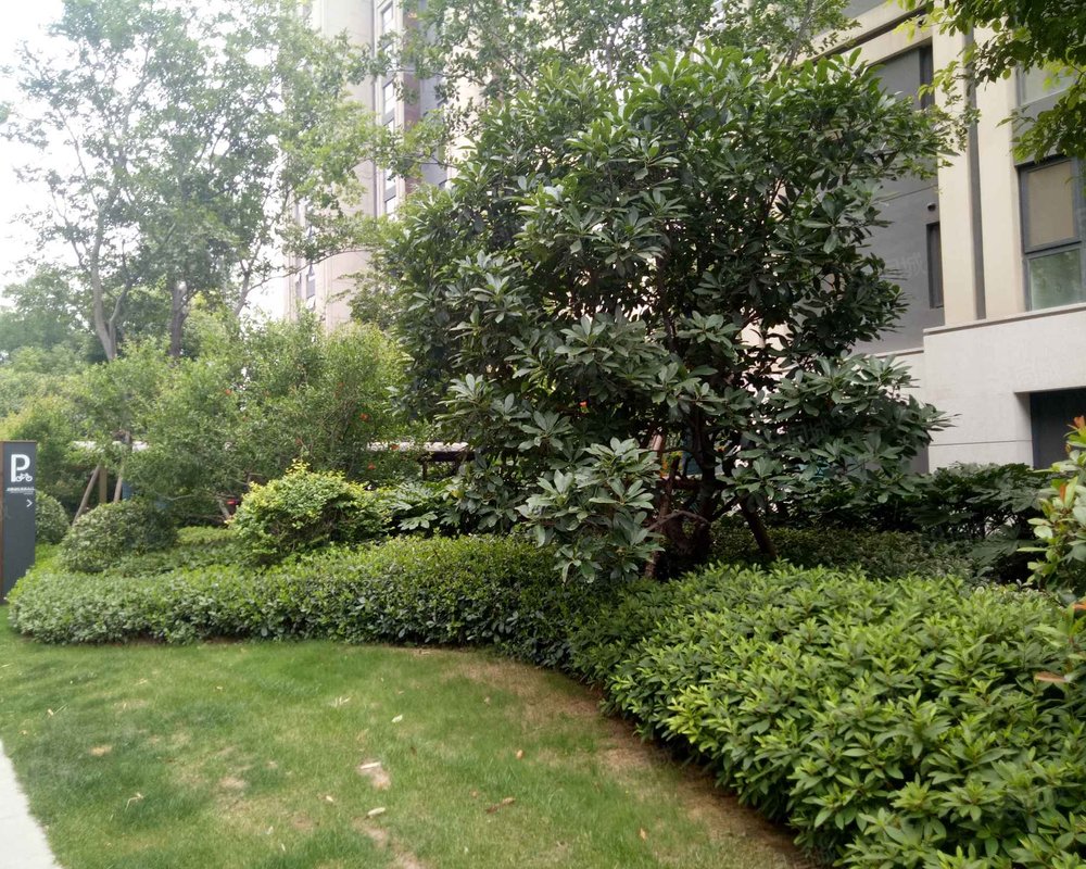 【三王庄滨河花园, 三王庄滨河花园小区详情,房价走势,房源,业主论坛