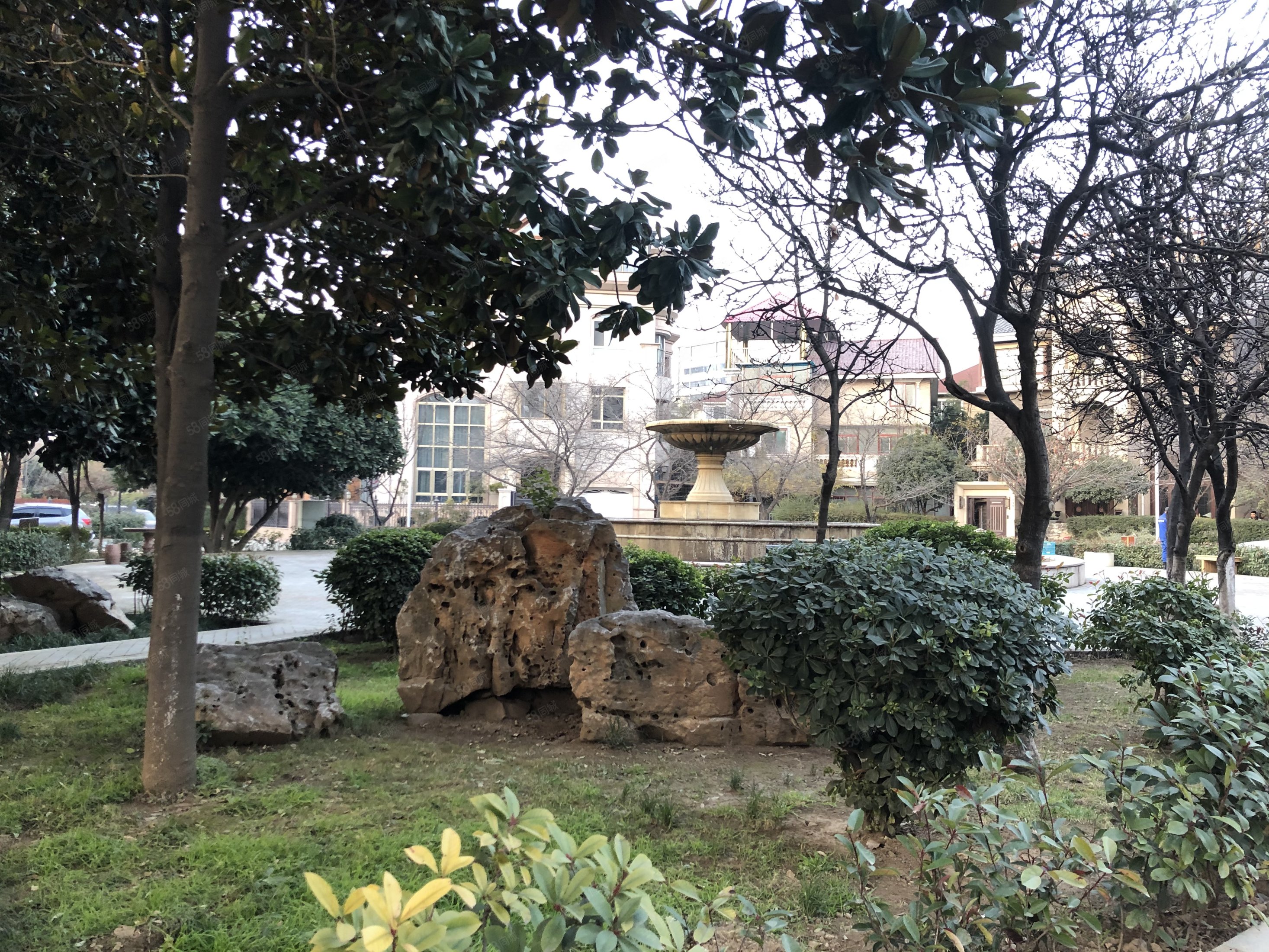 枫叶别墅苑6室3厅5卫300㎡南北1860万