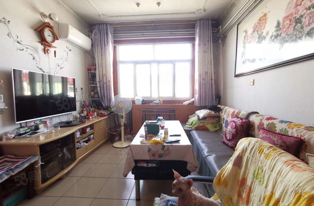 文轩本部 三室两厅 房东诚信出售 看房方便