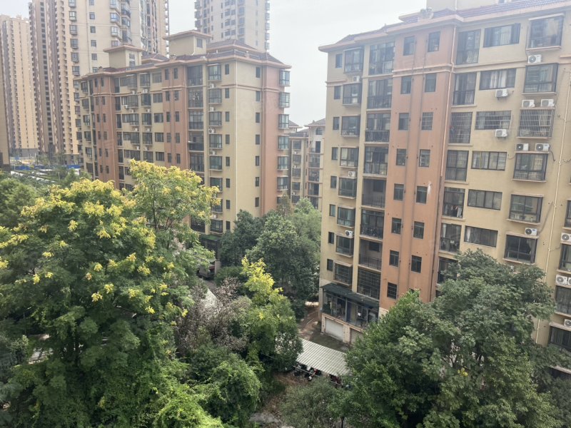 香槟国际3室2厅2卫117㎡南北51万