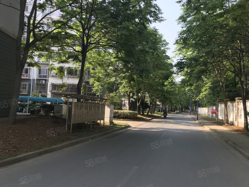 东边户 随时看 东苑 东善桥 位置好 楼栋佳,东虹花苑东苑-南京58同城