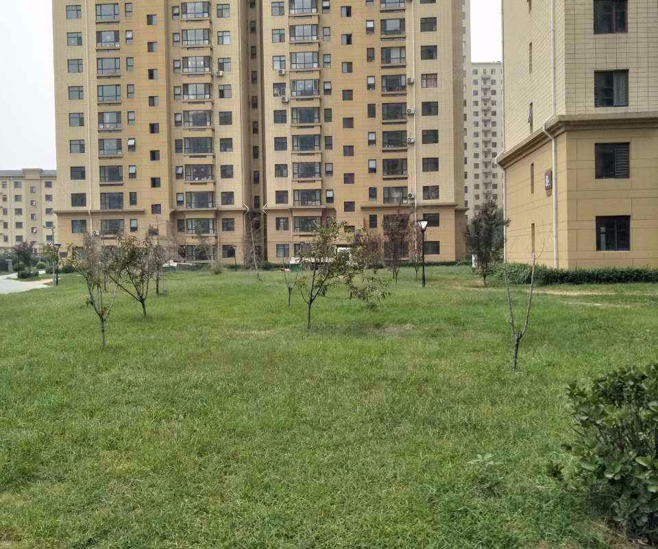 【棕榈湾, 棕榈湾小区详情,房价走势,房源,业主论坛】- 石家庄58同城