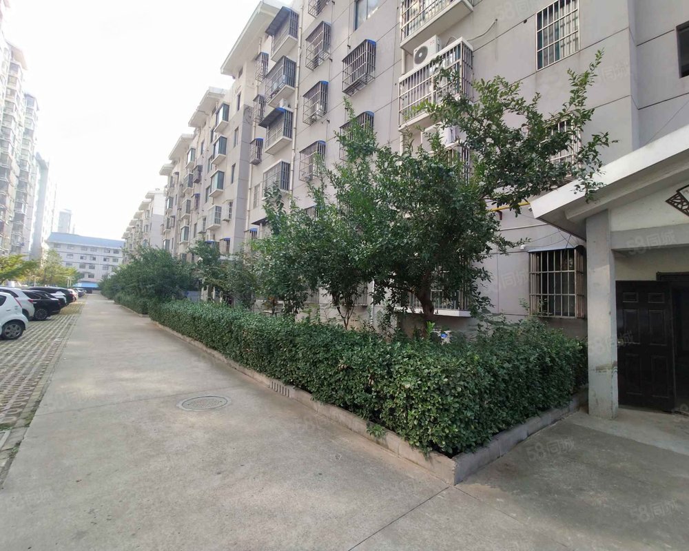 【杏林苑, 杏林苑小区详情,房价走势,房源,业主论坛】- 徐州58同城