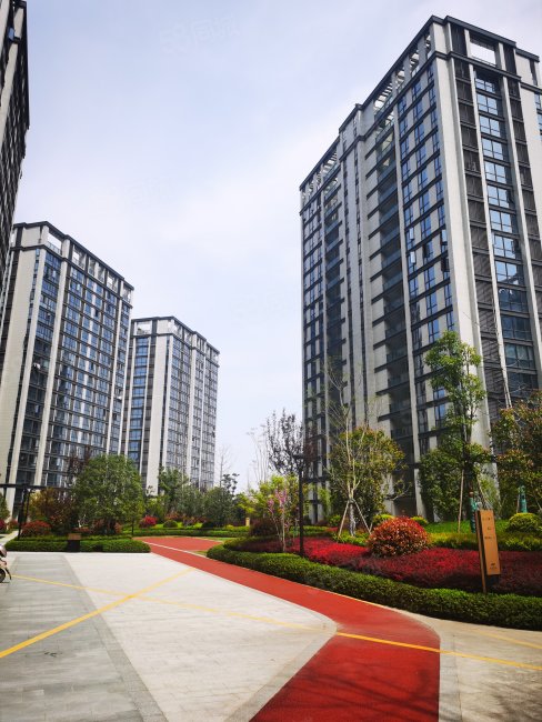 万固东方樾(商住楼)1室1厅1卫63㎡南北52万