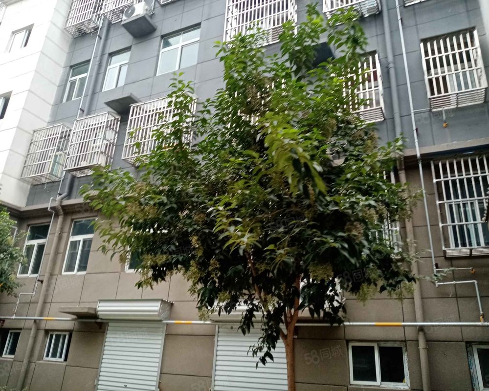 【碾庄未来城, 碾庄未来城小区详情,房价走势,房源,业主论坛】- 邳州