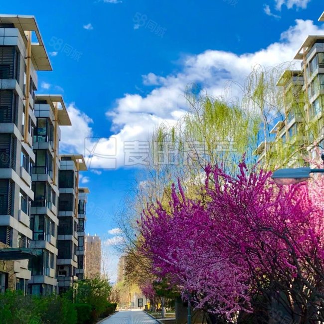 魯藝上河村(三區(qū))4室2廳4衛(wèi)263㎡南北3380萬(wàn)