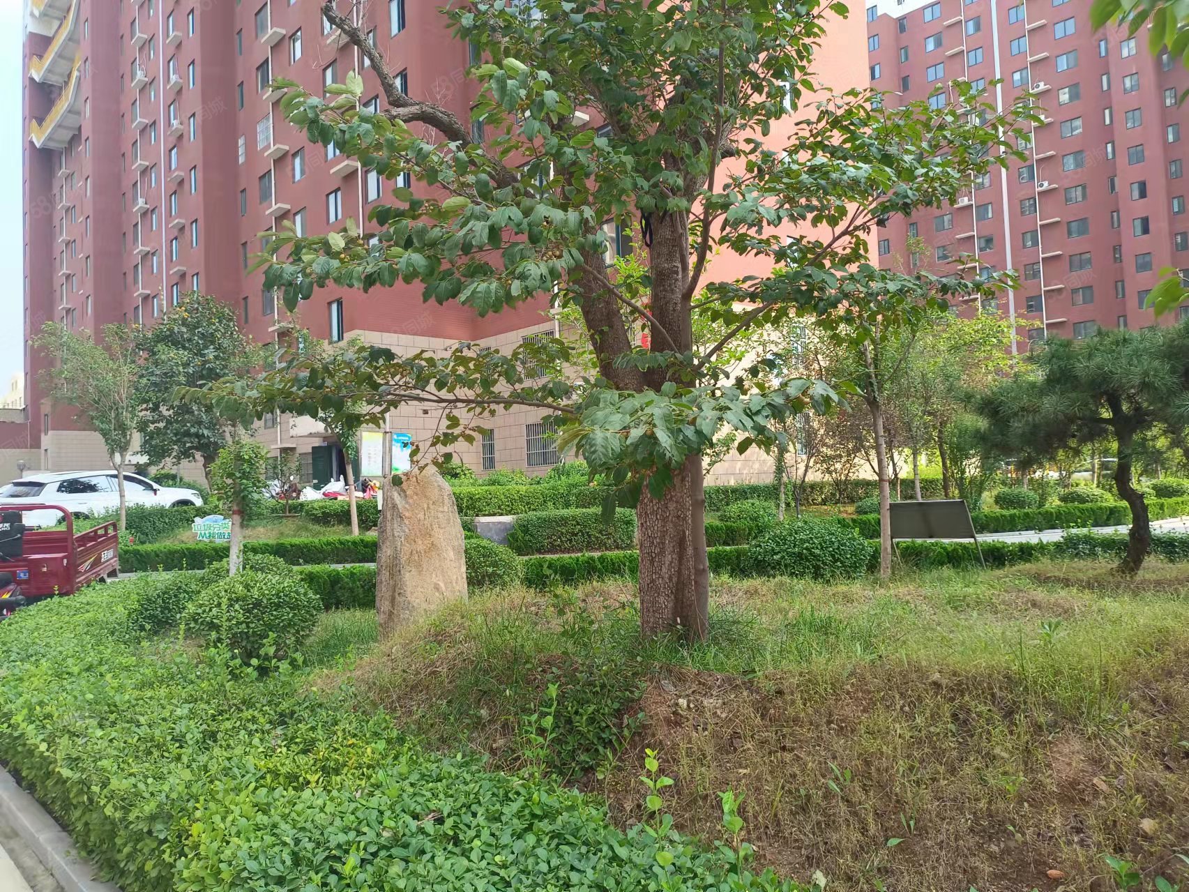 【10图】龙泽苑131平,三室两厅南北通透,送储藏室62万,龙泽苑-莱芜58