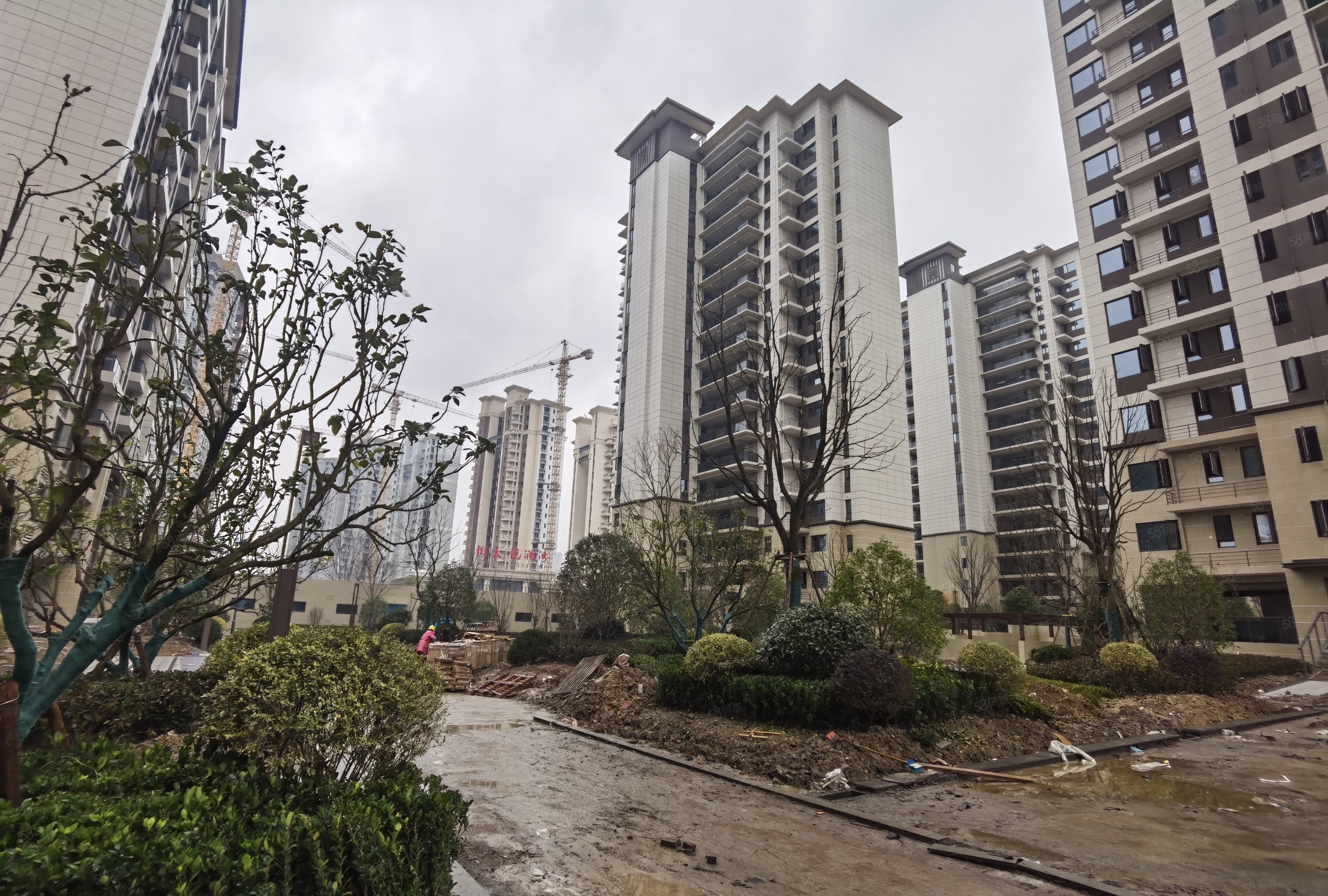 碧桂园黄金时代3室2厅2卫98㎡南北161万