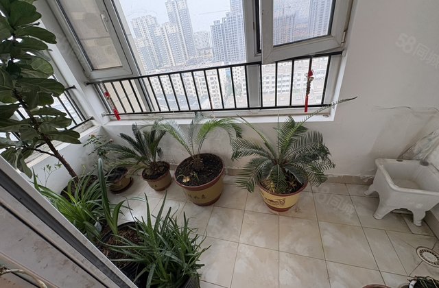 赠储！文轩！东边户！好楼层！东关国际！