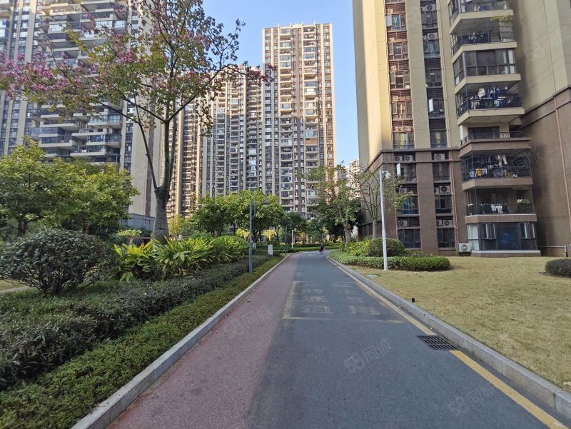 碧桂园太阳城4室2厅2卫135㎡南北95万