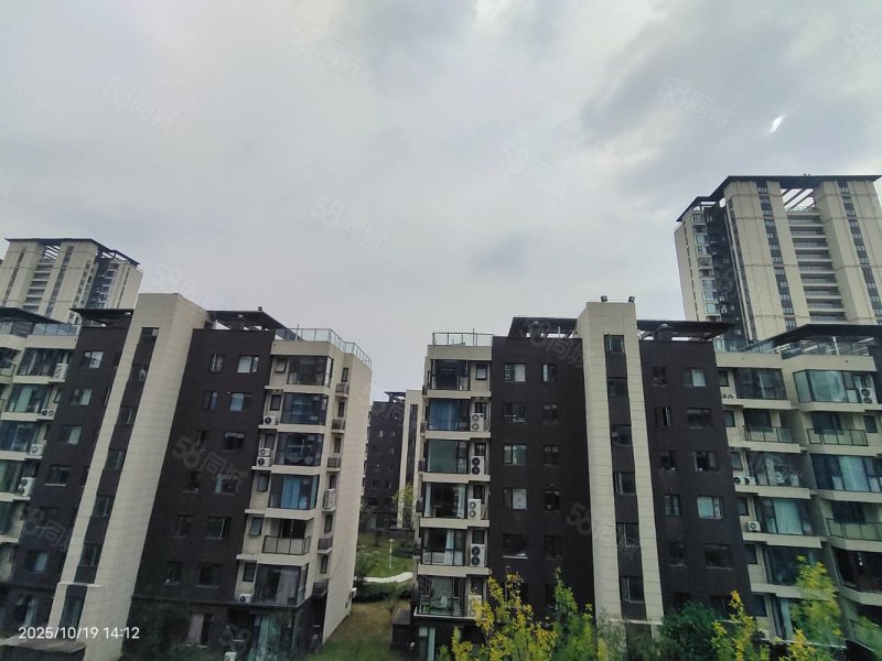 圣桦锦江天玺4室2厅2卫145㎡南北85万