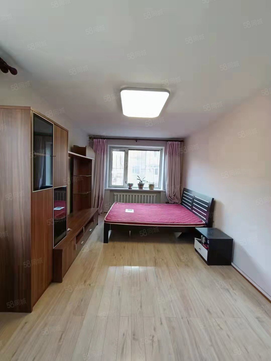 林业小区2室1厅1卫58.1㎡南北12.8万