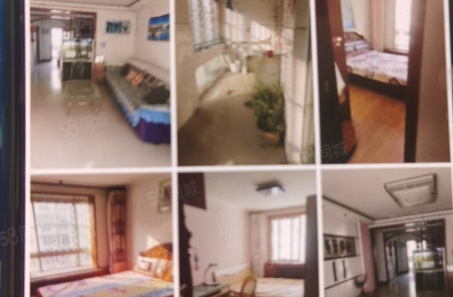 鸿顺花园3室2厅2卫