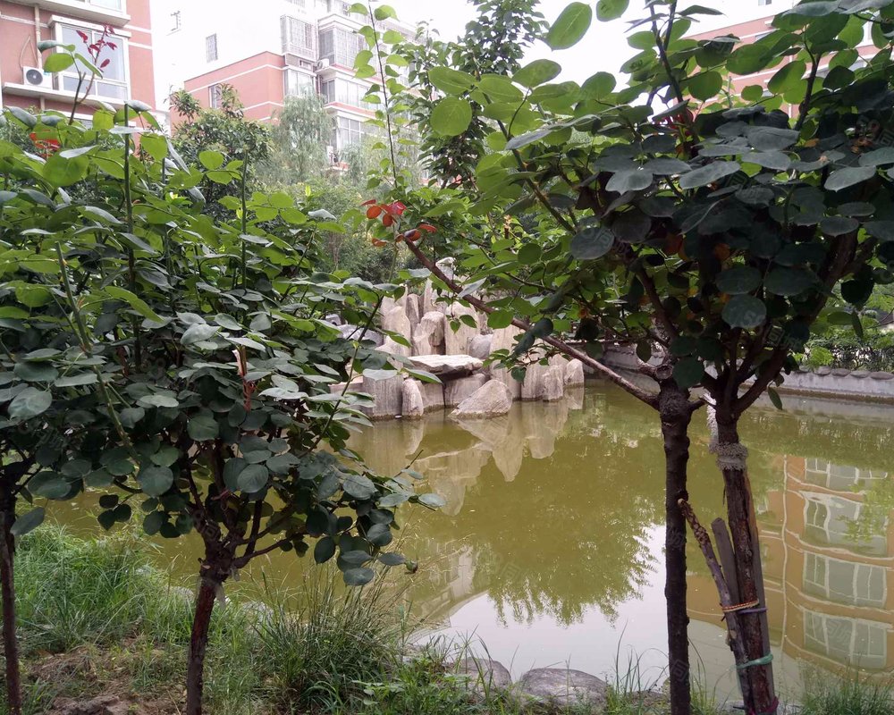 【丽江水花园, 丽江水花园小区详情,房价走势,房源,业主论坛】- 郑州