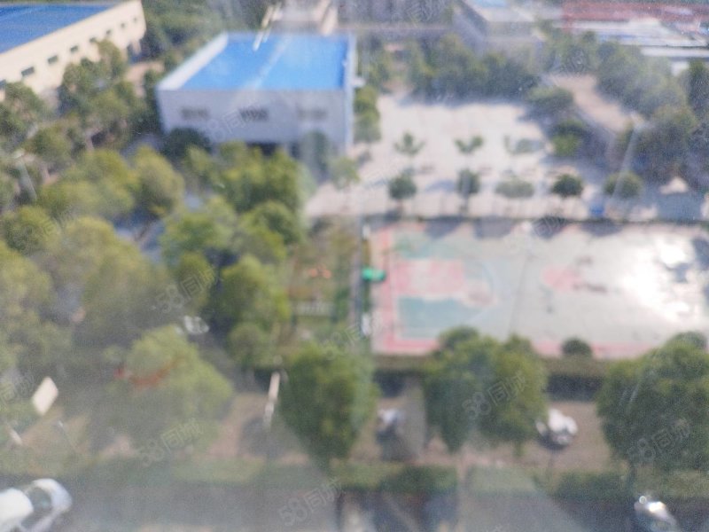 金上海国际广场3室2厅2卫138㎡南北49.8万
