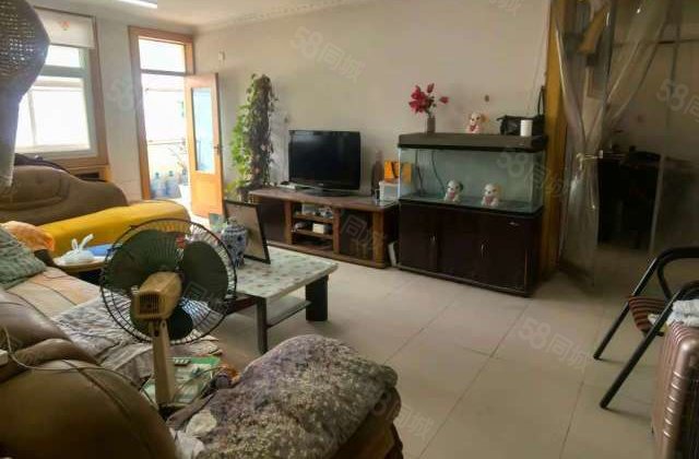 市中心 北顺   东昌总校 三中附近 独梯独户 三叶草户型