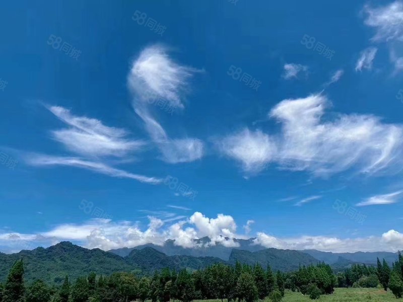 青城前山融創開發 水系島居划船回家 套三疊拼別墅 環境好得爆