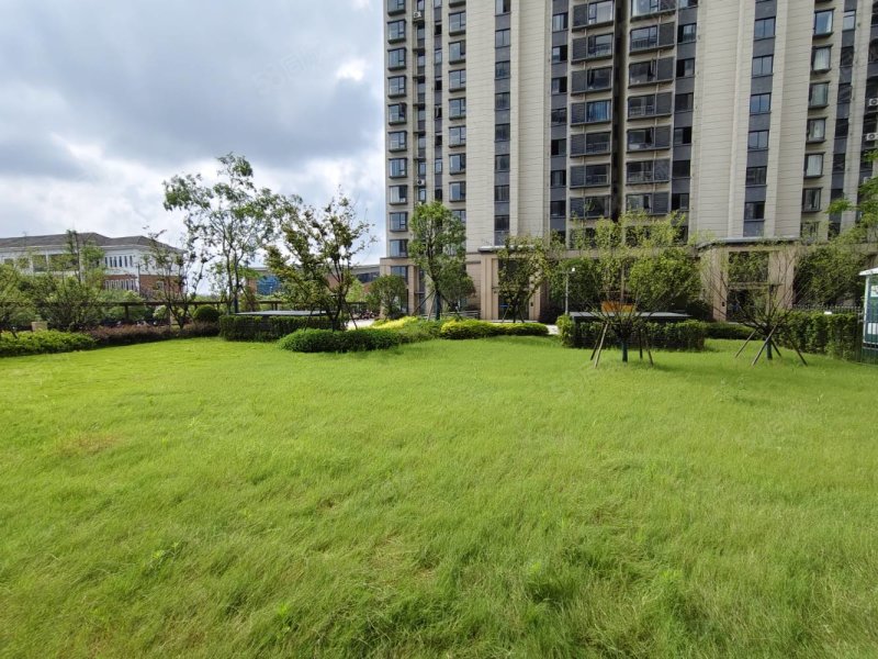 创维瑜园3室2厅2卫115㎡南北56.8万