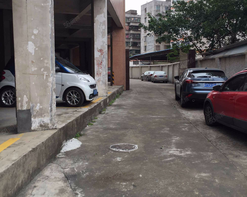 【金叶花园 金叶花园小区详情,房价走势,房源,业主论坛 佛山58